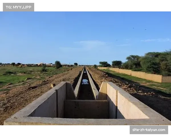 I组成赛事最强绞杀区 法国挪威塞内加尔陷出线混战